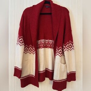 American Eagle Cardigan